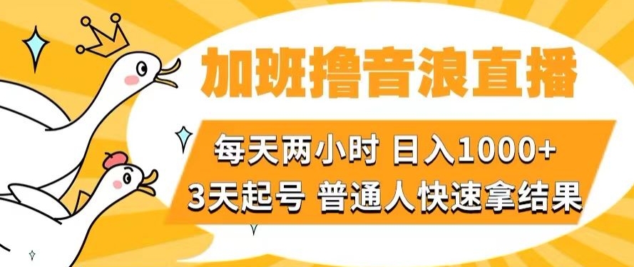 加班撸音浪直播，每天两小时，日入1000+，直播话术才3句，3天起号，普通人快速拿结果【揭秘】 - 首创网