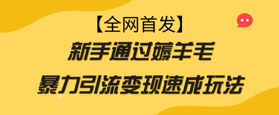 【全网首发】新手通过薅羊毛暴力引流变现速成玩法 - 首创网