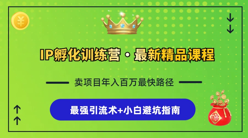 （13055期）IP孵化训练营，知识付费全流程+最强引流术+小白避坑指南 - 首创网