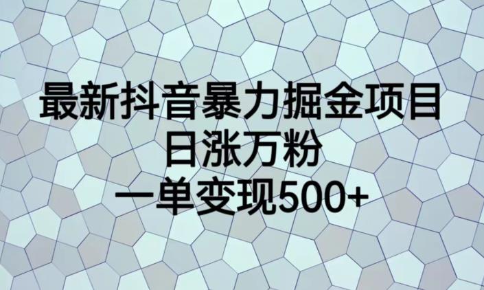 最新抖音暴力掘金项目，日涨万粉，一单变现500+【揭秘】 - 首创网