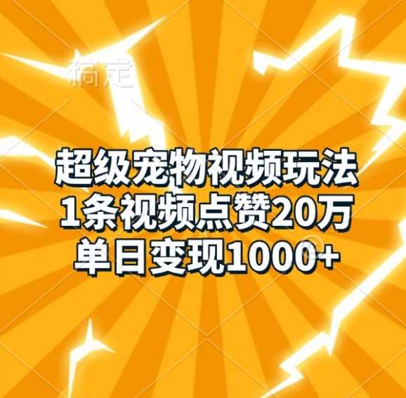 超级宠物视频玩法，1条视频点赞20万，单日变现1k - 首创网