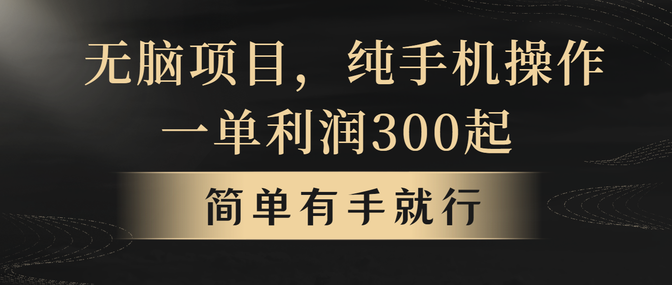 （10589期）无脑项目，一单几百块，轻松月入5w+，看完就能直接操作 - 首创网