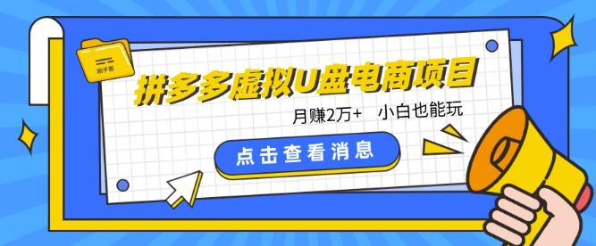 拼多多虚拟U盘电商红利项目：月赚2万+，新手小白也能玩 - 首创网