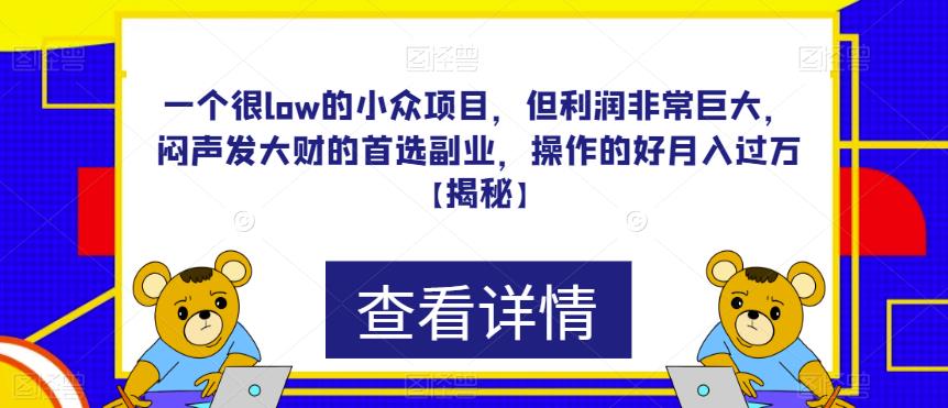 一个很low的小众项目，但利润非常巨大，闷声发大财的首选副业，操作的好月入过万【揭秘】 - 首创网