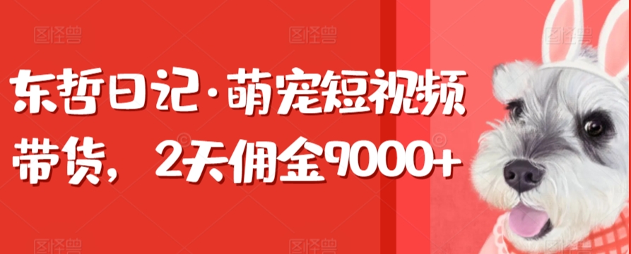 东哲日记·萌宠短视频带货，2天佣金9000+ - 首创网