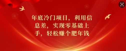 年底冷门项目，利用信息差，实现零基础上手，轻松赚个肥年钱【揭秘】 - 首创网