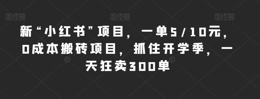 新“小红书”项目，一单5/10元，0成本搬砖项目，抓住开学季，一天狂卖300单【揭秘】 - 首创网