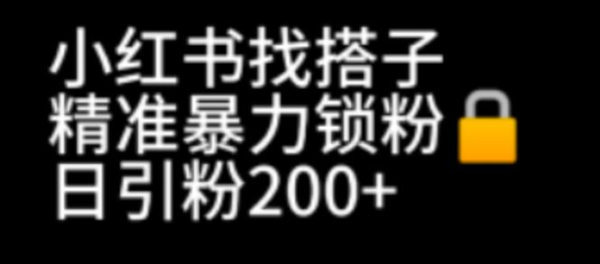 （6807期）小红书找搭子暴力精准锁粉+引流日引200+精准粉 - 首创网