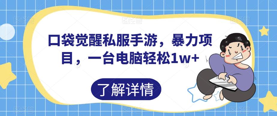 口袋觉醒私服手游，暴力项目，一台电脑轻松1w+【揭秘】 - 首创网