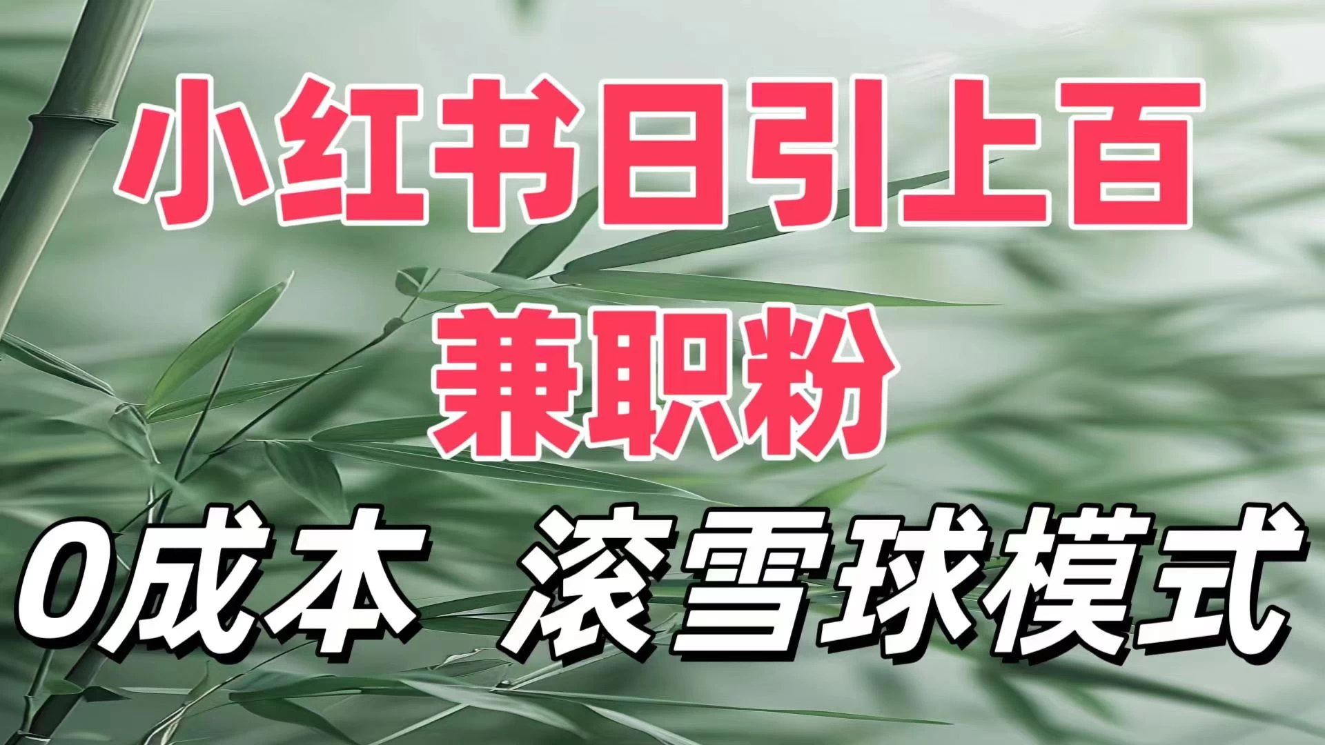 最新小红书引流自热，轻松日引上百精准宝妈创业粉，滚雪球模式，门槛低的新规则玩法 - 首创网