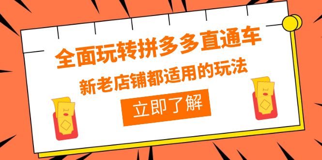 （6294期）全面玩转拼多多直通车，新老店铺都适用的玩法（12节精华课） - 首创网