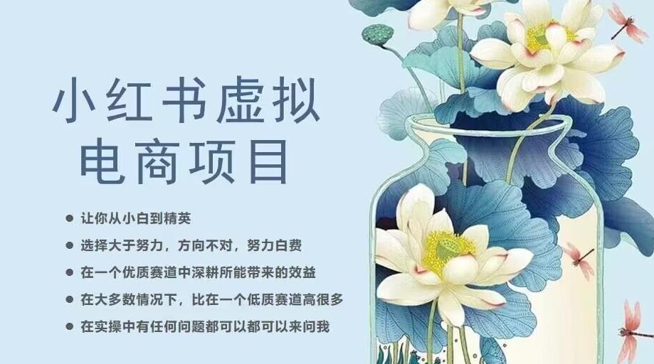 小红书虚拟电商从0到1，让你从小白到精英（20节实操课程） - 首创网