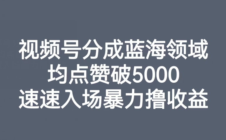 视频号分成蓝海领域，均点赞破5000，速速入场暴力撸收益 - 首创网