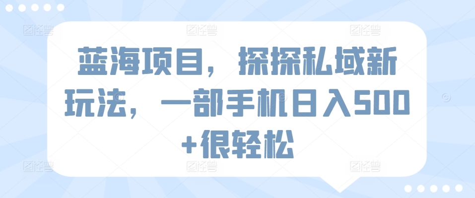 蓝海项目，探探私域新玩法，一部手机日入500+很轻松 - 首创网