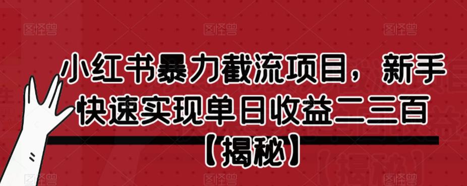 小红书暴力截流项目，新手快速实现单日收益二三百【仅揭秘】 - 首创网