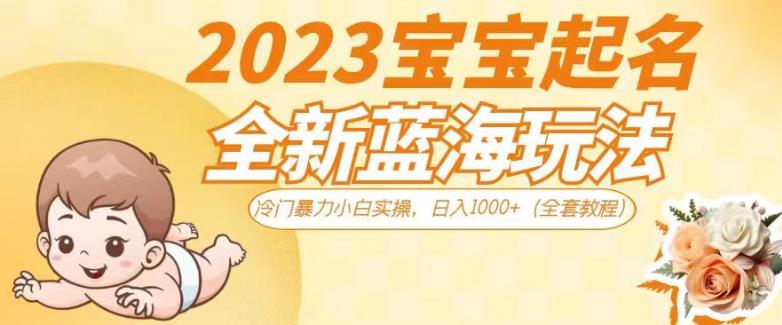 2023宝宝起名全新蓝海玩法，冷门暴力小白实操，日入1000+（全套教程）【揭秘】 - 首创网