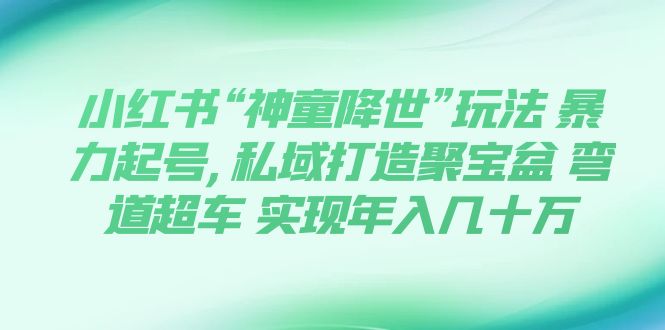 （7673期）小红书“神童降世”玩法 暴力起号,私域打造聚宝盆 弯道超车 实现年入几十万 - 首创网