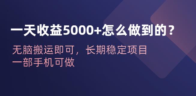 一天收益5000+怎么做到的？无脑搬运即可，长期稳定项目，一部手机可做【揭秘】 - 首创网