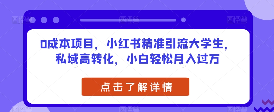 0成本项目，小红书精准引流大学生，私域高转化，小白轻松月入过万【揭秘】 - 首创网