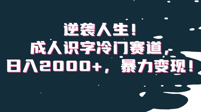 逆袭人生！成人识字冷门赛道，日入2000+，暴力变现！【揭秘】 - 首创网