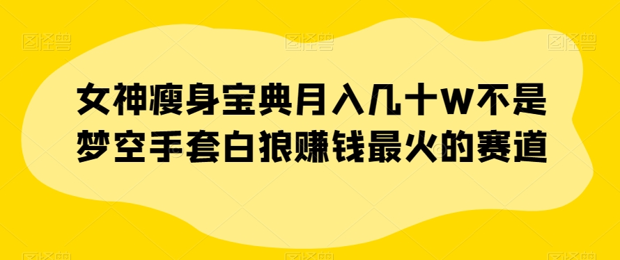 女神瘦身宝典月入几十W不是梦空手套白狼赚钱最火的赛道【揭秘】 - 首创网