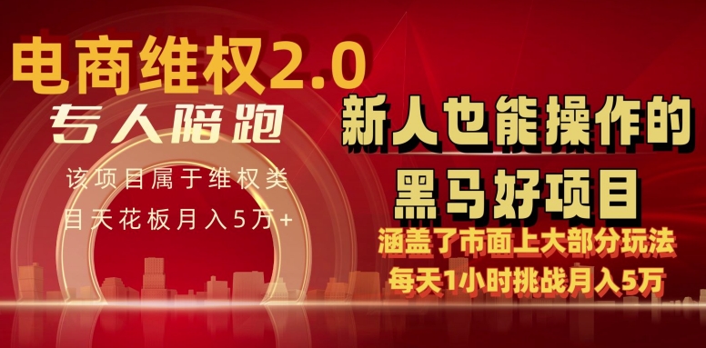 电商维权 4.0 如何做到月入 5 万+每天 1 小时新人也能快速上手【仅揭秘】 - 首创网