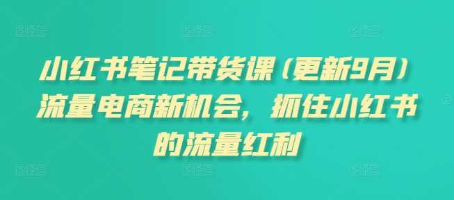 小红书笔记带货课(更新11月)流量电商新机会，抓住小红书的流量红利 - 首创网