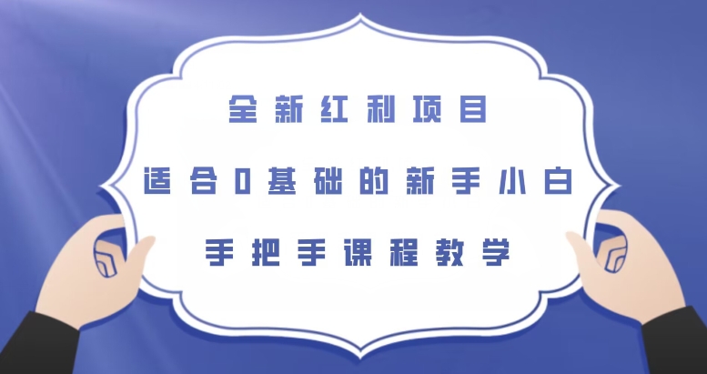 全新红利项目，适合0基础的新手小白，手把手课程教学【揭秘】 - 首创网