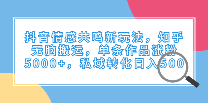 （6758期）抖音情感共鸣新玩法，知乎无脑搬运，单条作品涨粉5000+，私域转化日入500 - 首创网