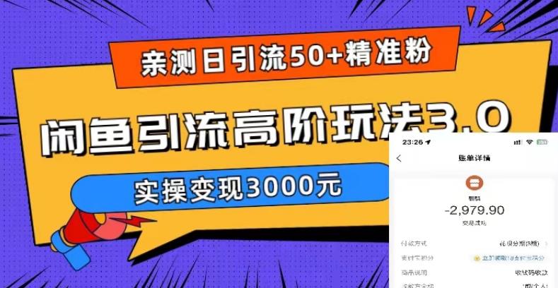 亲测日引50+精准粉，闲鱼引流高阶玩法3.0，实操变现3000元【揭秘】 - 首创网